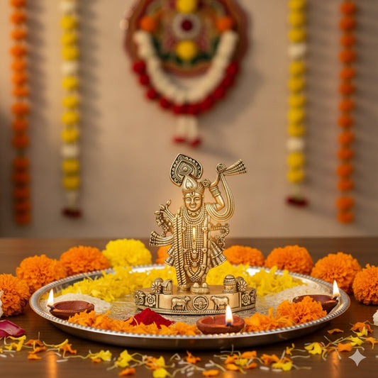 Brass Lord Shree Nath Ji Idol